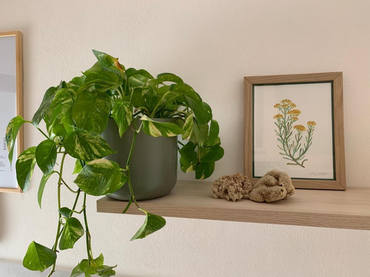 Elicriso Home ปอร์โตตอร์เรส ภายนอก รูปภาพ